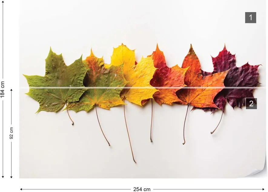 Fototapet GLIX - Autumn Leaves  + adeziv GRATUIT Tapet nețesute - 254x184 cm