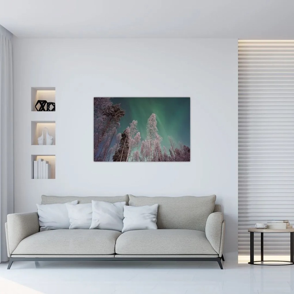 Tablou cu aurora borealis deasupra pomilor înghețați (90x60 cm)