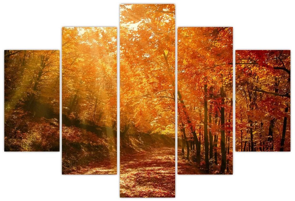 Tablou cu pădurea în toamnă (150x105 cm)
