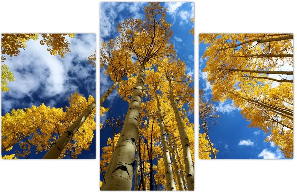 Tablou - Aspen (90x60 cm)