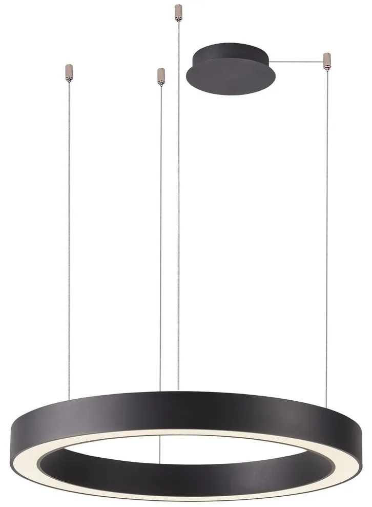 Azzardo AZ5053 - Lustră LED dimabilă pe cablu MARCO LED/100W/230V negru + + telecomandă