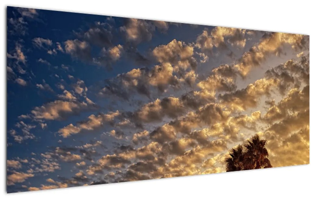 Tablou - Palmieri între nori (120x50 cm)