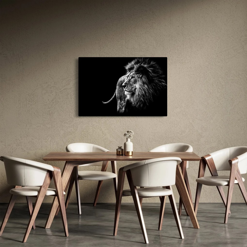Tablou - Leu, alb și negru (90x60 cm)