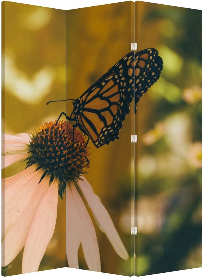 Paravan - Fluture pe floare (126x170 cm)