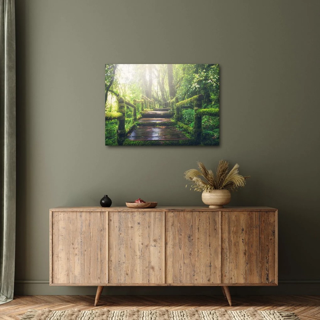 Tablou - trepte din lemn în pădure (70x50 cm)