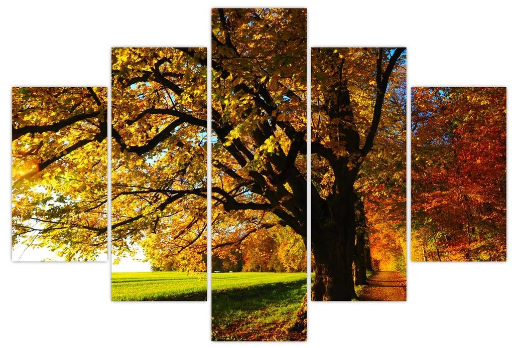 Tablou cu toamna (150x105 cm)