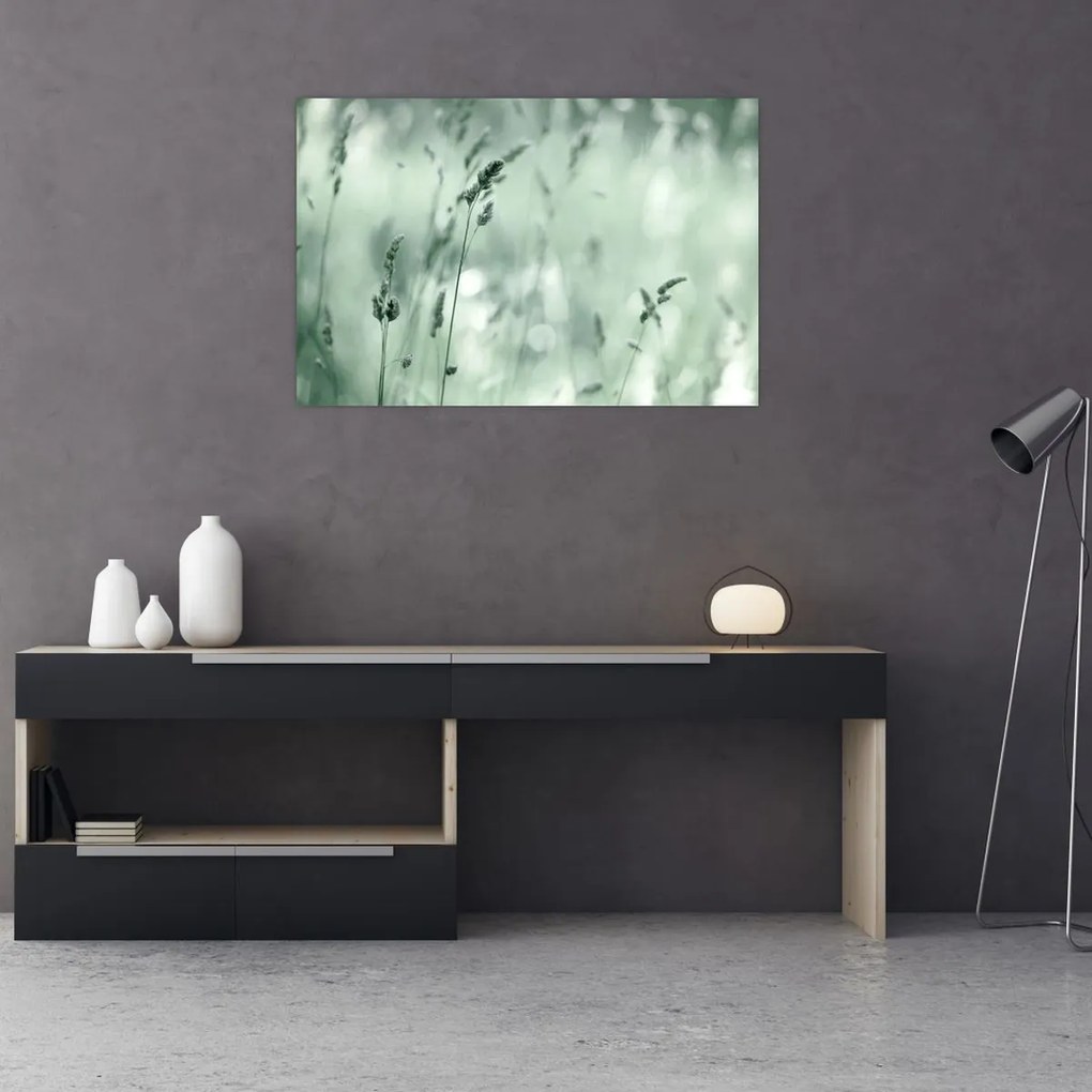 Tablou - Pajiște verde (90x60 cm)