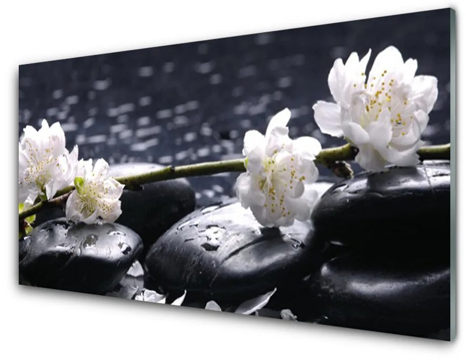 Tablou pe sticla acrilica Pietre florale flori alb negru