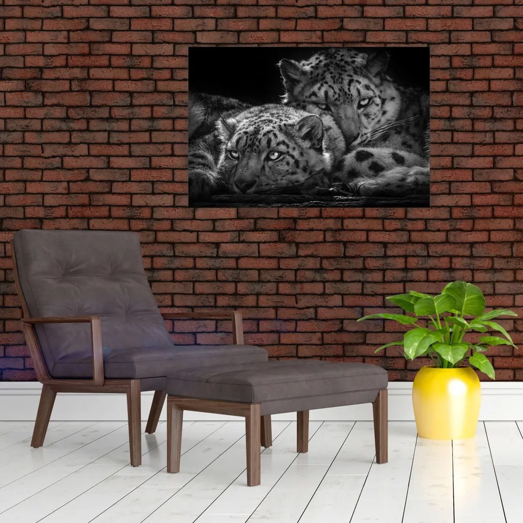 Tablou - Gheparzi care se odihnesc (90x60 cm)