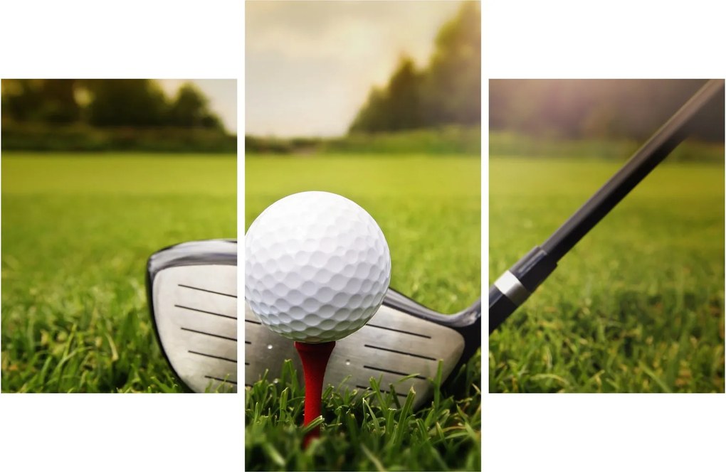 Tablou - Golf (90x60 cm)