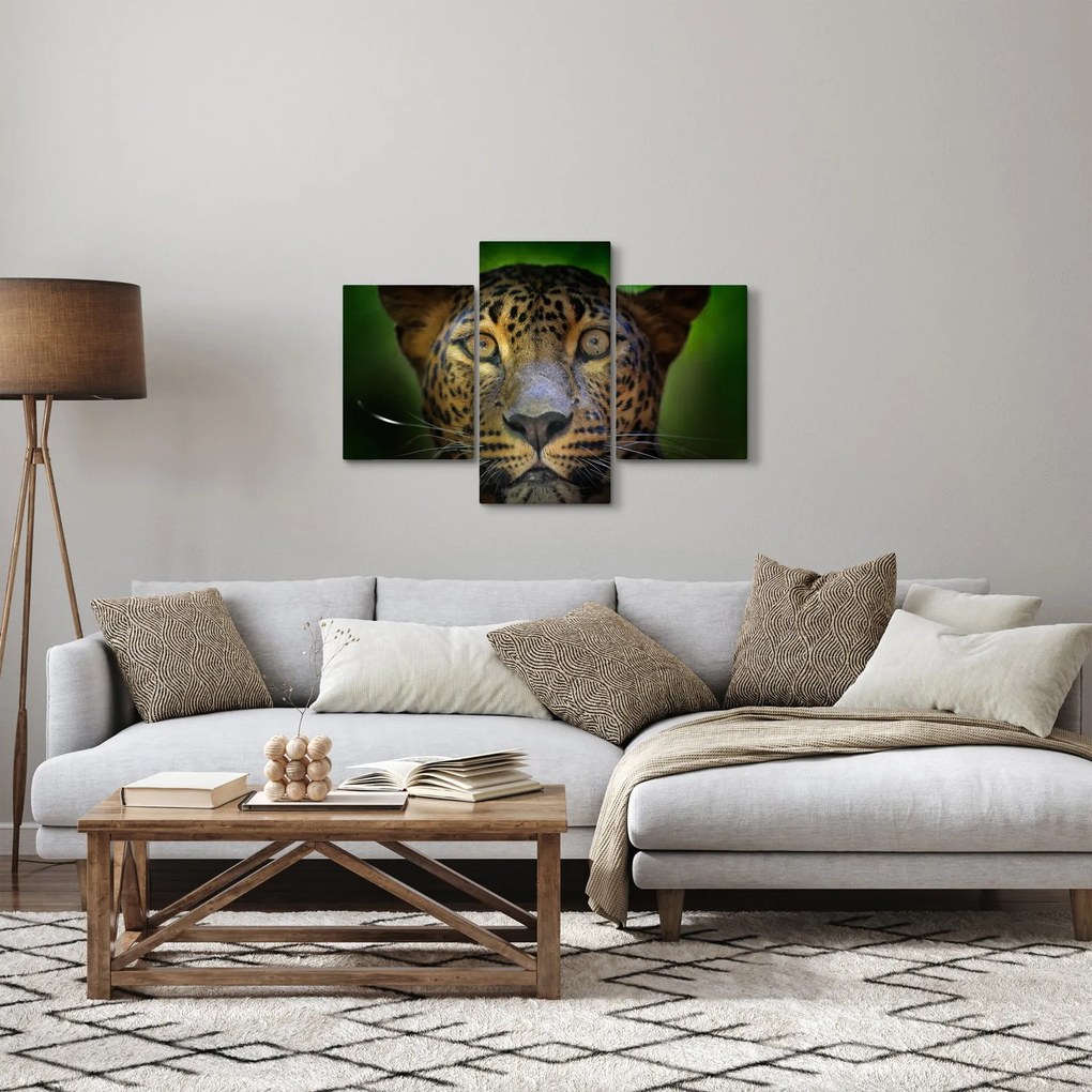 Tablou - Portretul leoparduslui, Sri Lanka (90x60 cm)