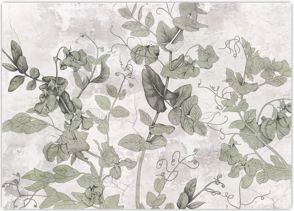 Tablou - Plante in ipsos (70x50 cm)