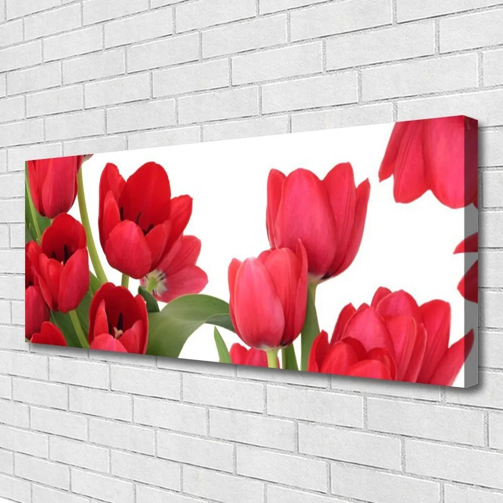 Tablou pe panza canvas Lalele Floral Red