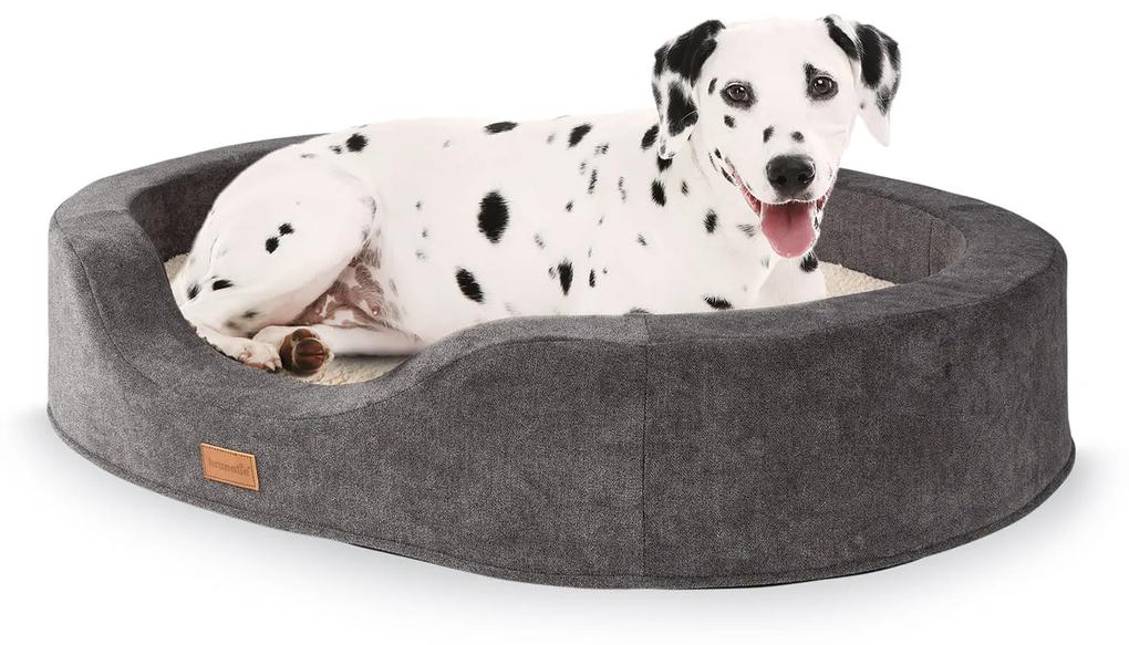 Lotte, așternut pentru câine, pernă pentru câine, lavabil, ortopedic, antiderapant, respirabilă, spumă cu memorie, mărimea L (100 × 20 × 80 cm)