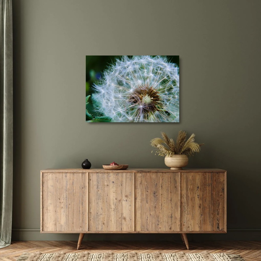 Tablou pe sticlă cu păpădie desflorit (70x50 cm)