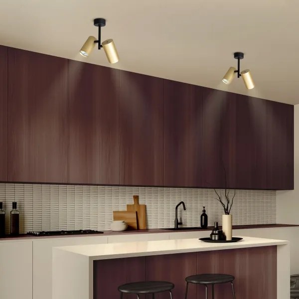 Spot Brilagi SELE VERTICAL 2xGU10/30W/230V negru/auriu