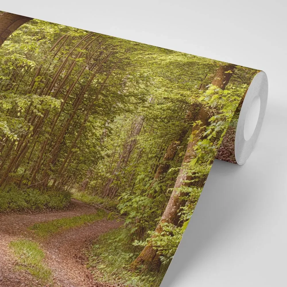Fototapet pădure verde