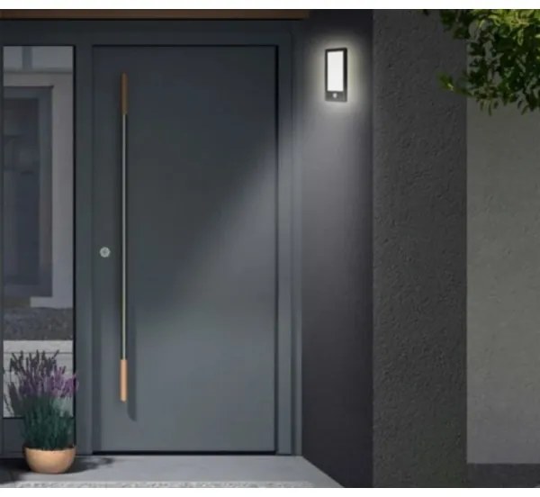 Aplică LED de exterior cu senzor LED/16W/230V IP44 Telefunken 313905TF