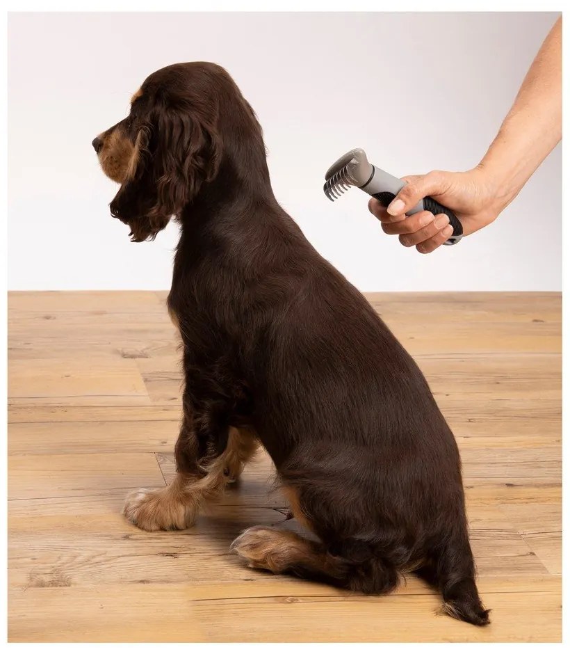 Piaptăn de tuns – Love Story