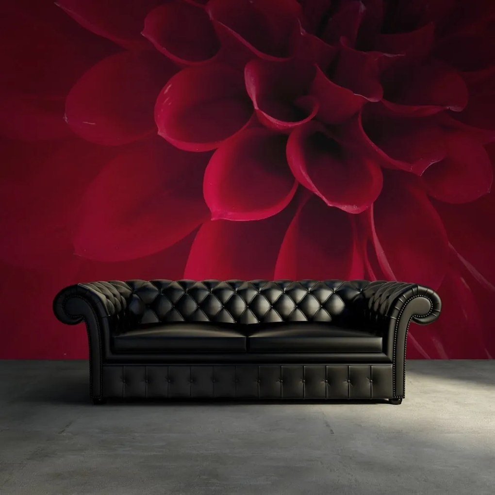 Fototapet, Dahlia, Rebel Walls