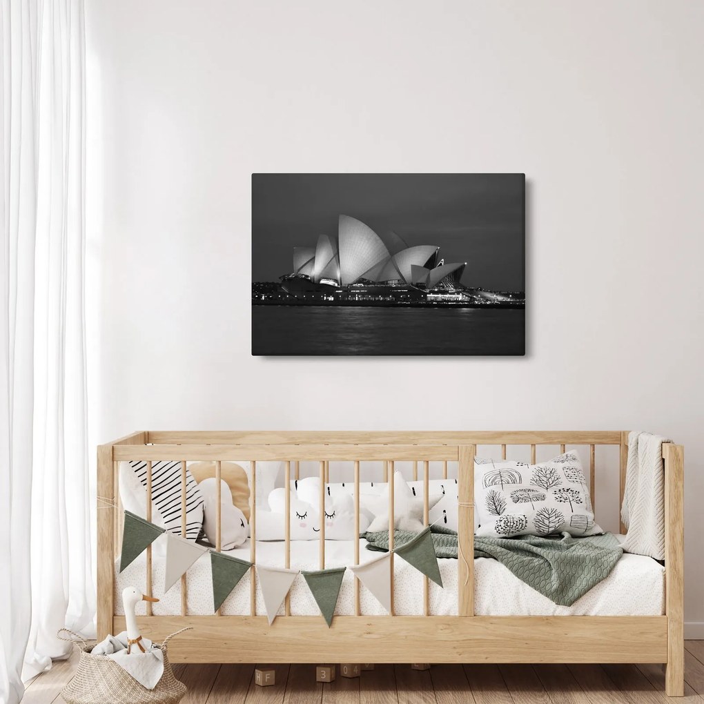 Tablou cu Opera din Sydney (90x60 cm)