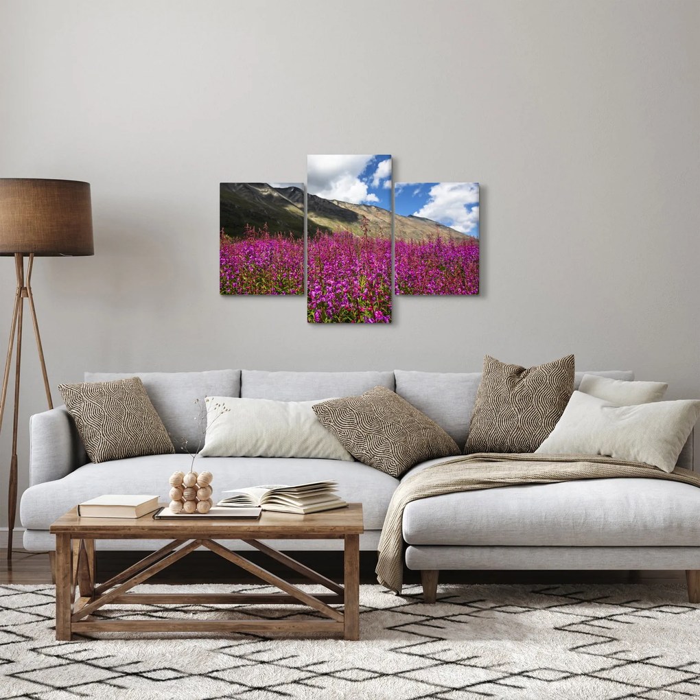 Tablou sceneriei cu lunca montană (90x60 cm)