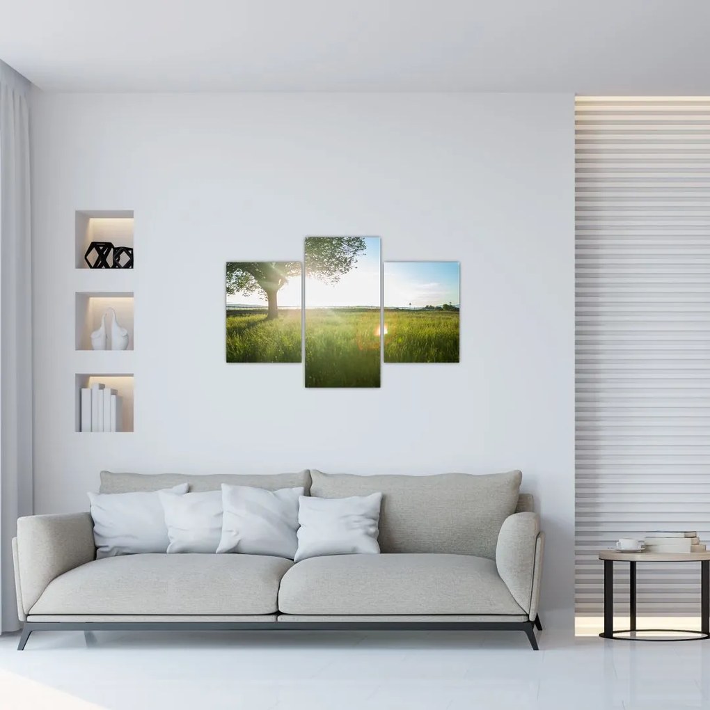 Tablou - Copac în câmp (90x60 cm)