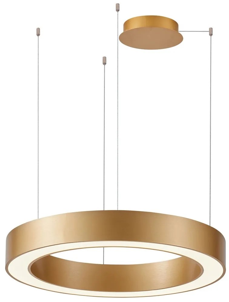 Azzardo AZ5051 - Lustră LED dimabilă pe cablu MARCO LED/80W/230V auriu + + telecomandă