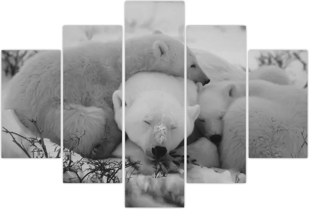 Tablou - Urși polari, alb-negru (150x105 cm)
