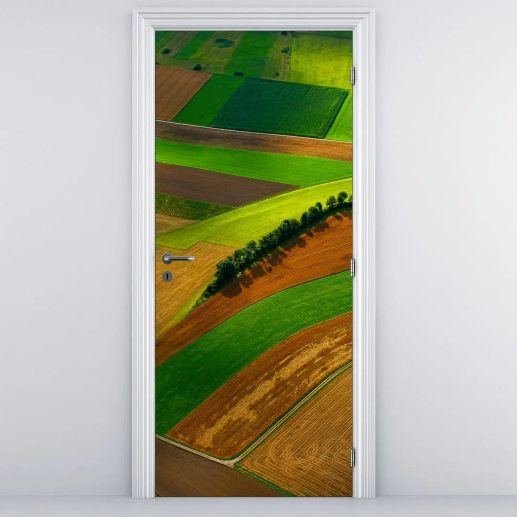 Fototapet pentru ușă - Câmp (95x205cm)