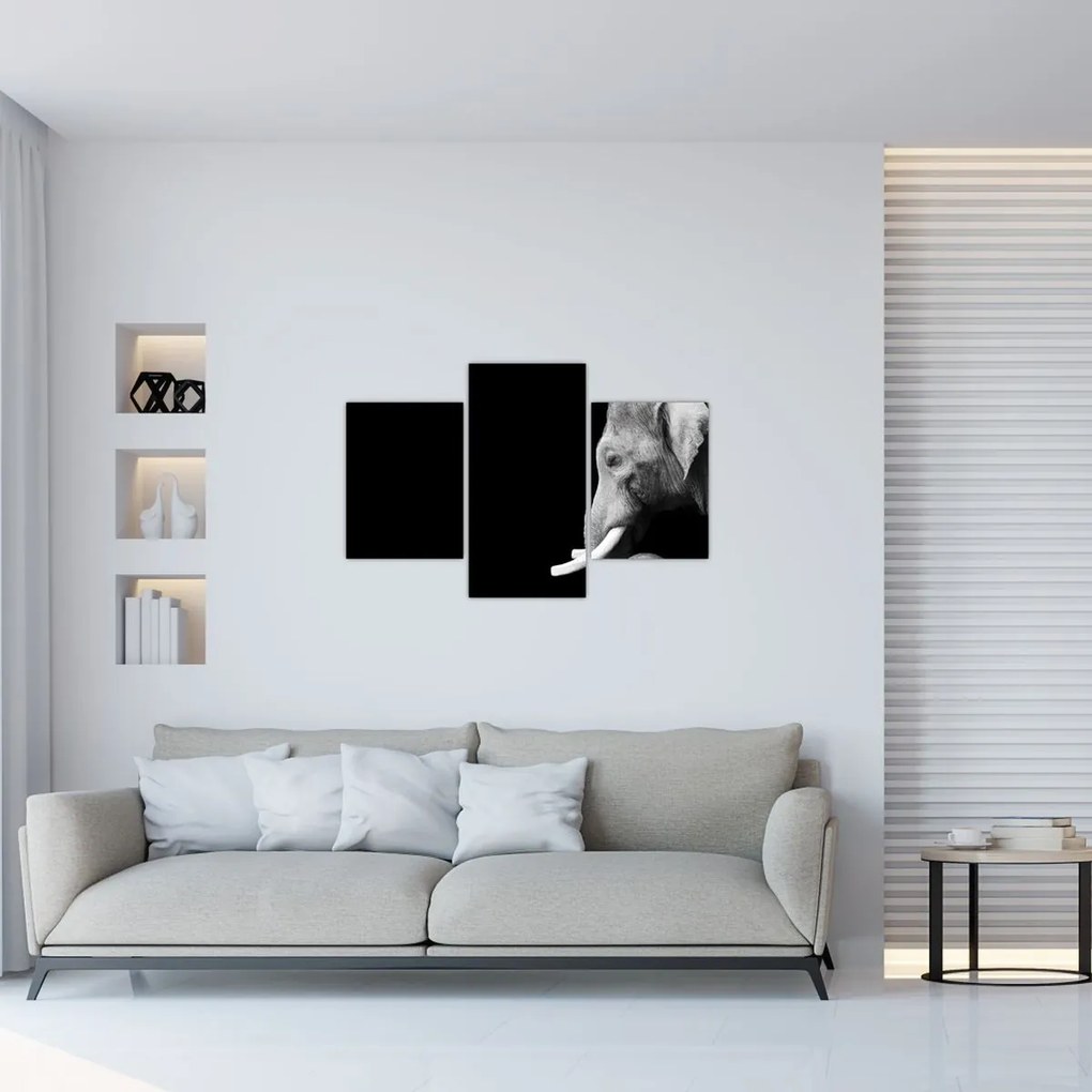 Tablou - Elefant (90x60 cm)