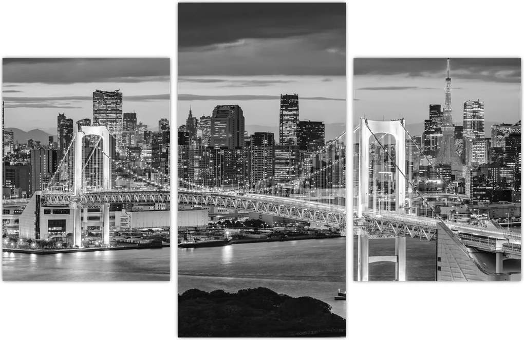 Tablou - Negru și alb oraș mare (90x60 cm)