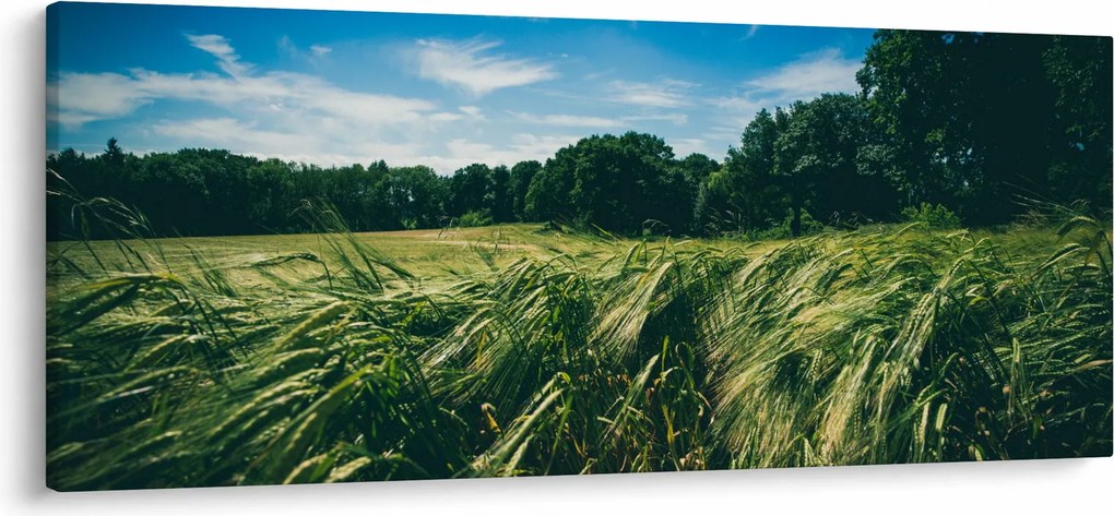 Tablou cu linca și pădure (120x50 cm)