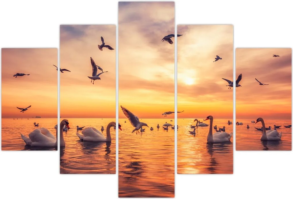 Tablou - Lebedă (150x105 cm)