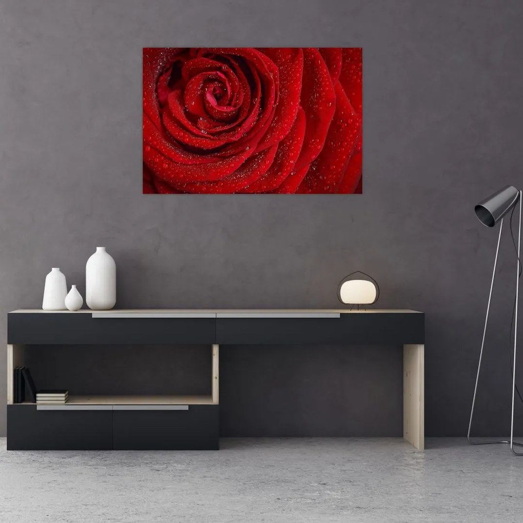 Tablou - detaliu de trandafir (90x60 cm)