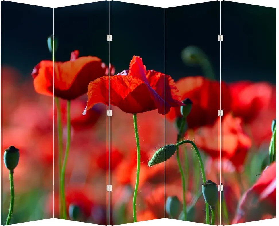 Paravan - Flori de maci (210x170 cm)