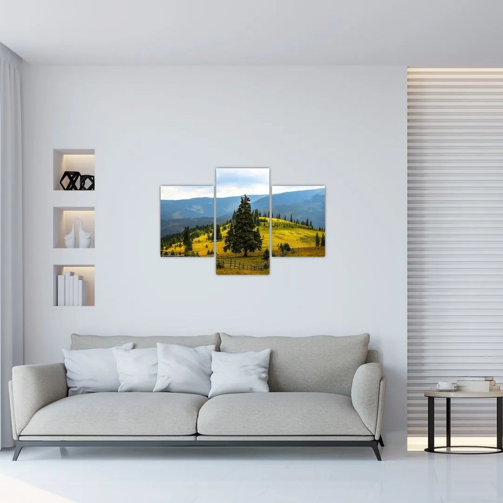 Tablou - Lunca de munte (90x60 cm)