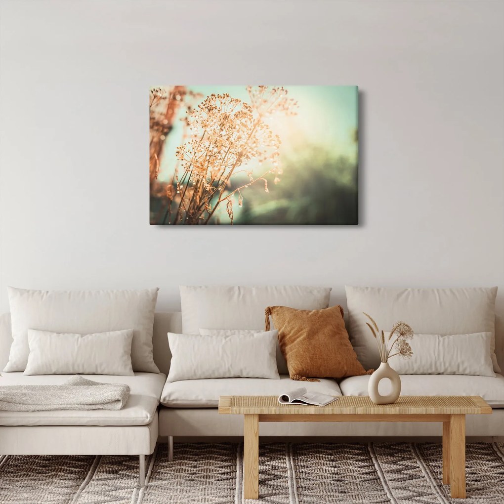 Tablou - Plante de luncă (90x60 cm)
