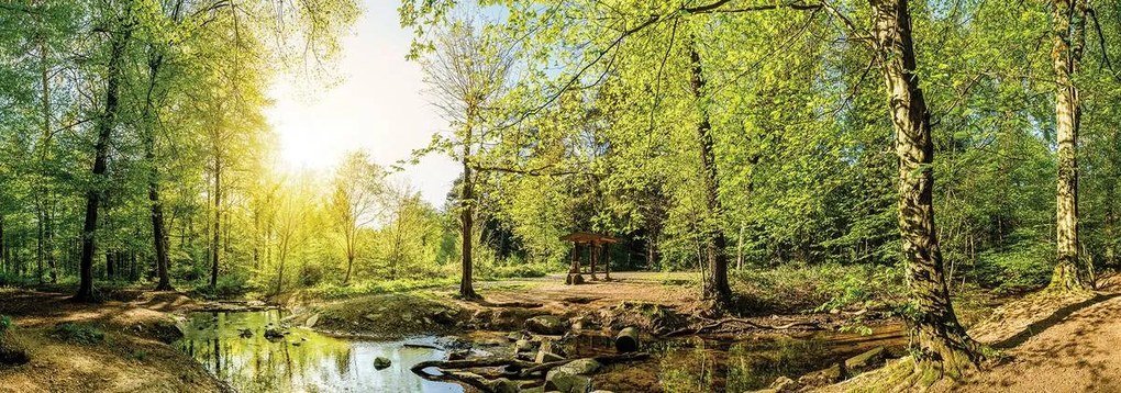 Fototapet - Pădurea verde (152,5x104 cm), în 8 de alte dimensiuni noi