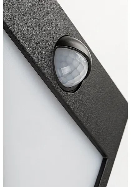Rabalux 7478-LED Aplica exterior BALIMO LED 12W 230V IP44 cu senzor