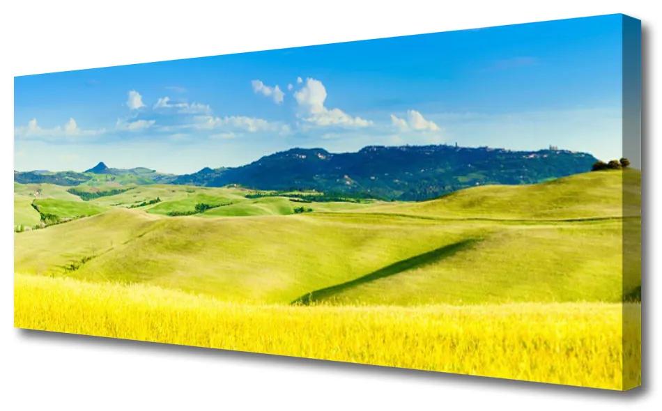 Tablou pe panza canvas Munții Peisaj Țara Verde Albastru