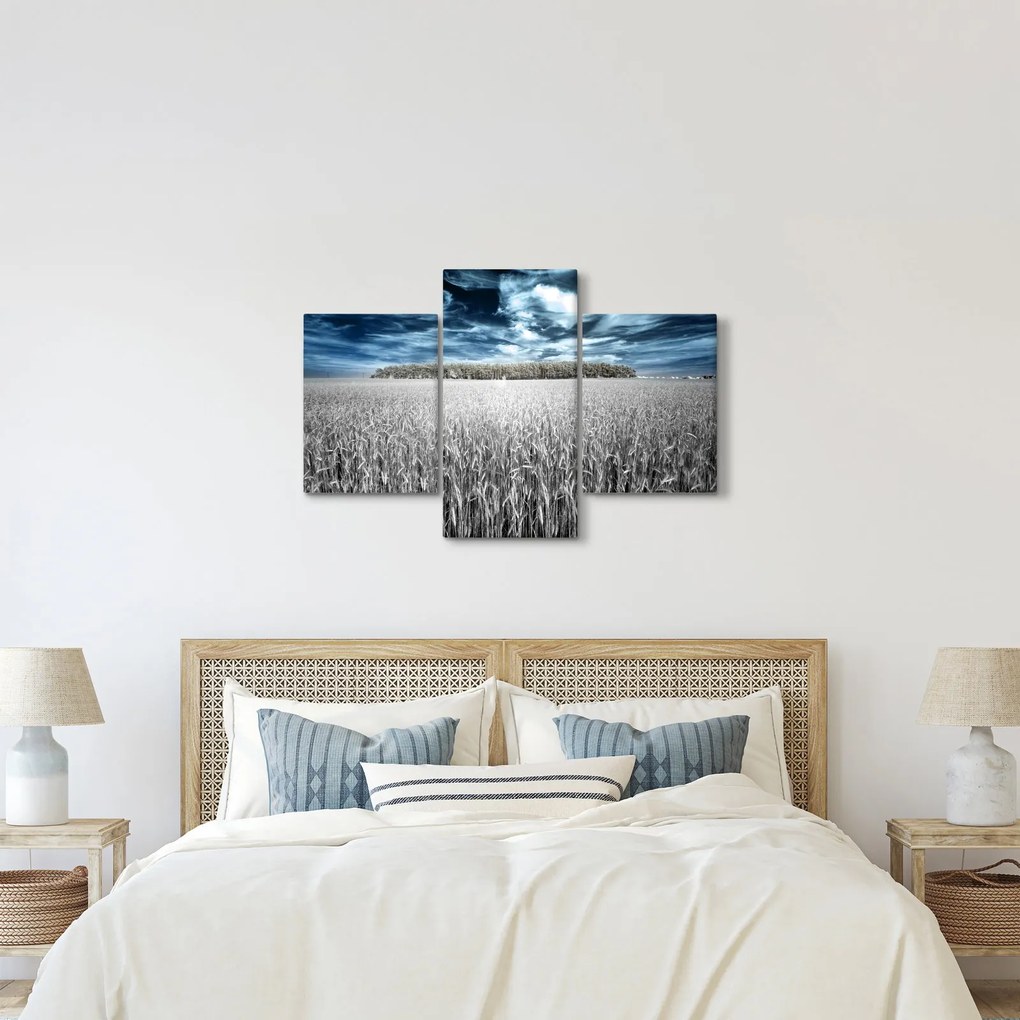 Tablou cu câmp (90x60 cm)