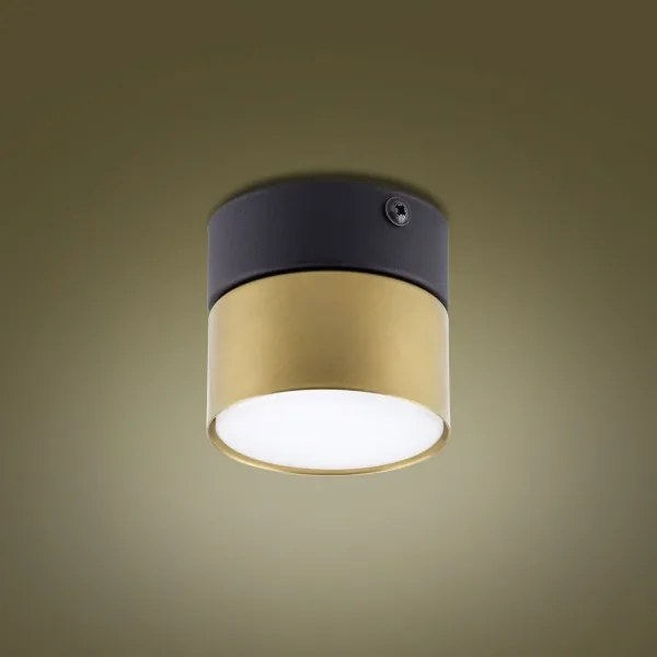 Spot SPACE GOLD 1xGX53/15W/230V