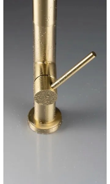 Baterie de chiuvetă cu cap de duș detașabil Deante BQO_R72M OLFATO auriu periat