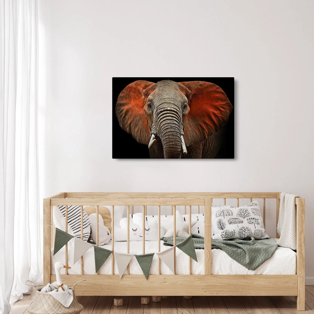 Tablou - Elefanți cu Tsavo (90x60 cm)