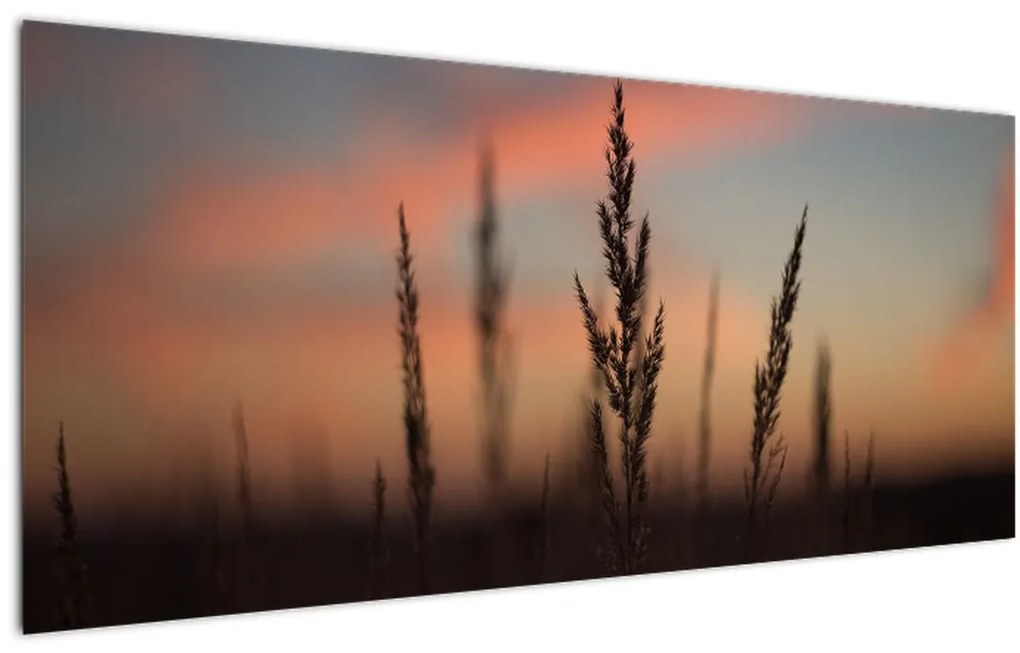 Tablou - Silueta plantei (120x50 cm)