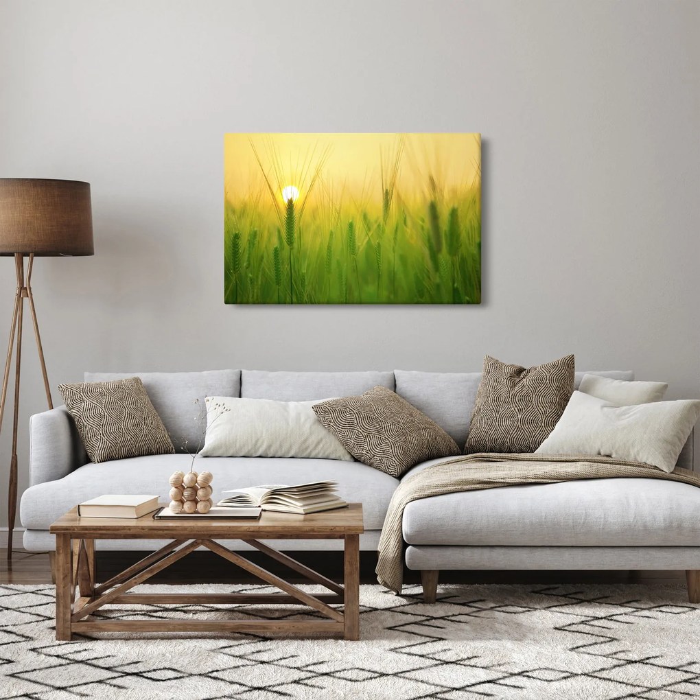 Tablou - Câmp cu cereale (90x60 cm)