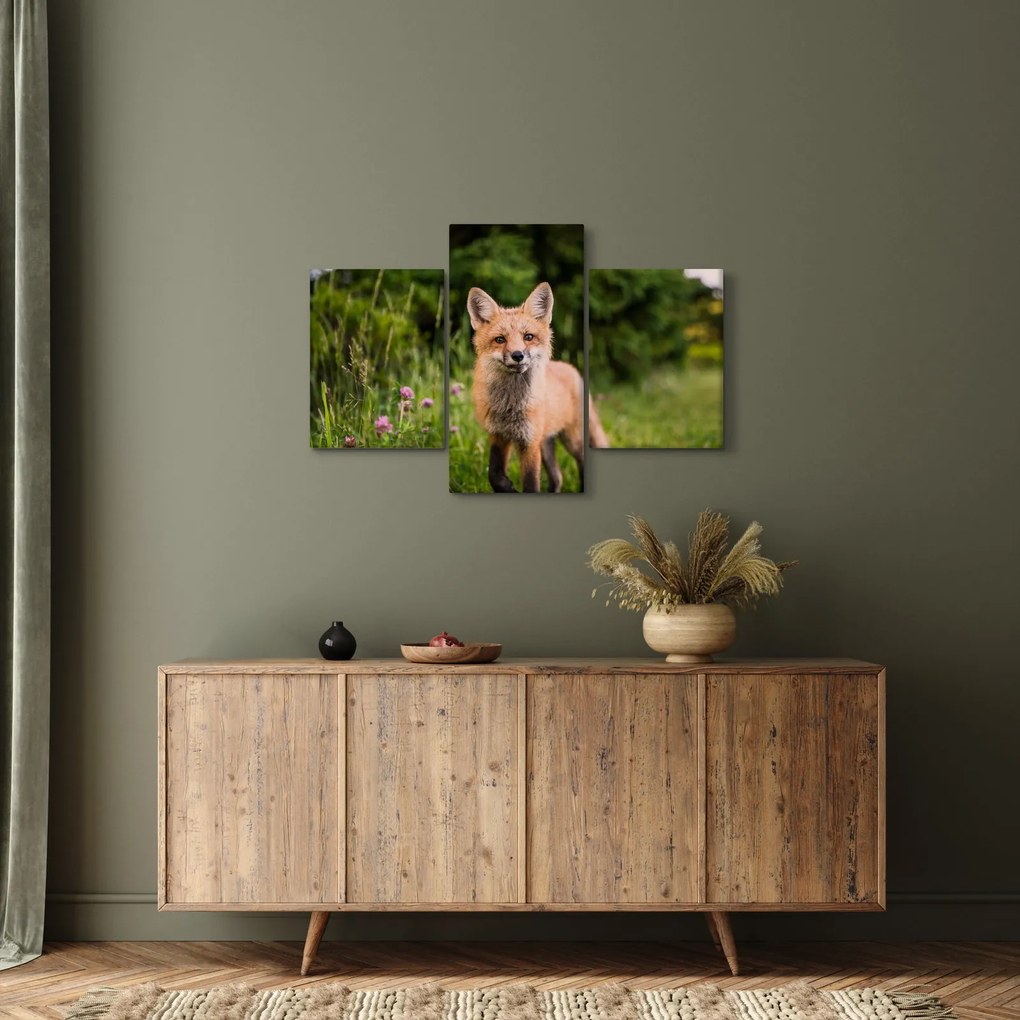 Tablou cu vulpe (90x60 cm)