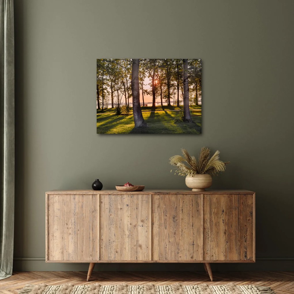 Tablou cu pomi lângă lac (70x50 cm)
