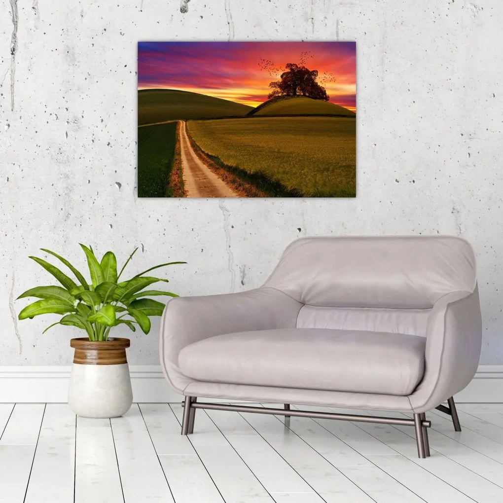 Tablou pe sticlă câmpului cu apus de soare (70x50 cm)